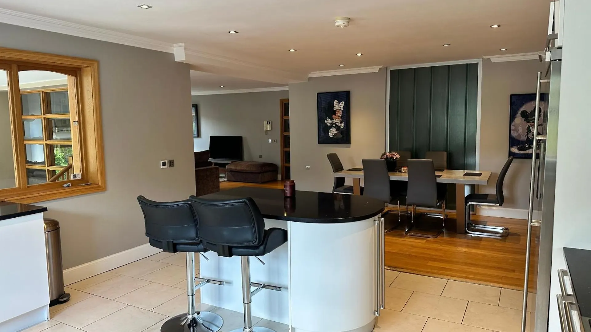 Bright, Tranquil, City Apartment Belfast